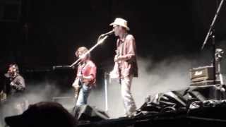 Cosquin Rock 2014: Skay Beilinson- Ji Ji Ji