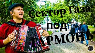 CВИДАНИЕ (СЕКТОР ГАЗА на ГАРМОНИ) ЛЮБИМЫЕ ПЕСНИ под ГАРМОНЬ.