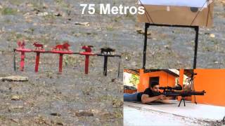 Hatsan BT65 - 75 metros