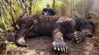 10 САМЫХ АНОМАЛЬНО БОЛЬШИХ ЖИВОТНЫХ В МИРЕ