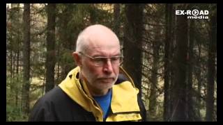 ВЕПССКИЙ ЛЕС 2012. Первая секция