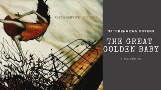 The Great Golden Baby - Circa Survive (guitar cover)