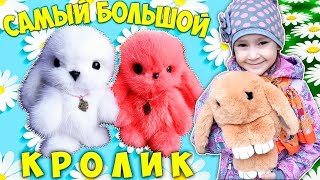 ? Мой САМЫЙ БОЛЬШОЙ брелок кролик из натурального меха ? Меховой зайка брелок ?