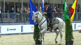 Andalusion horse.Спасская башня 2015.Испания.Spanish horse