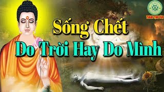 Kể Truyện Đêm Khuya Sống Chết Có Số Phú Quý Do Ta Hay Do Trời Định Hà Tất Gì Phải Cưỡng Cầu #rathay