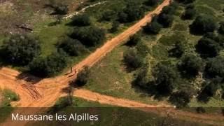 Places to see in ( Maussane les Alpilles - France )