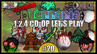 Ultimate Boss Fight Finale! Fighting Vince! || Terraria Co-Op Survival [Episode 20]