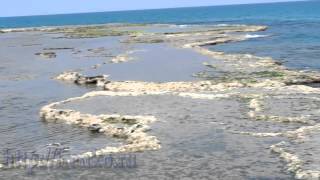 Звуки природы. Шум моря. Релакс. Музыка