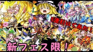 【パズドラ】新フェス限追加！コットンさんを狙ってゴッドフェス！【ゆっくり実況】
