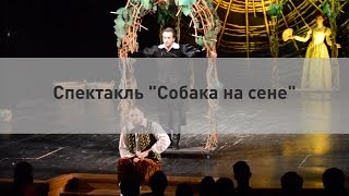 Спектакль "Собака на сене"
