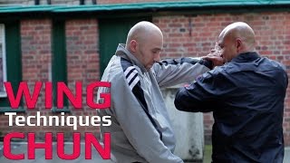Wing Chun techniques wing chun kung fu -  grab and straight elbow
