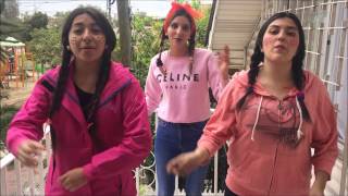 Mi muñeca me hablo / Lengua de señas chilena
