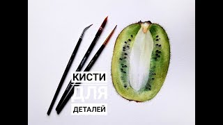 Кисти для деталей. Ботаническая иллюстрация