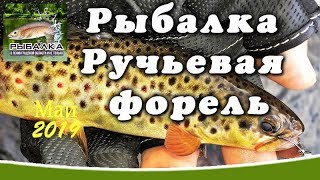 Весенняя рыбалка в Ленинградской области. Как поймать хариуса. Ловля ручьевой форели. (МАЙ 2019)