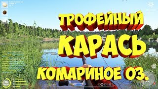 место с Трофейным Карасём комариное озеро Русская Рыбалка 4 фарм