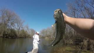 Bass fishing | Lake Ray Hubbard Dallas TX |Catching Creek Channel Bass!