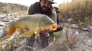 Kosova Batlava Gölü Sazan Avı Float Fishing For Carp 11.Bölüm
