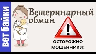 Ветеринарный лохотрон в действии. Советы ветеринара