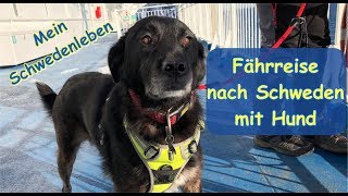 Mit dem Hund auf der Fähre nach Schweden / TT-Line
