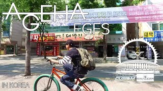 [아게하픽시] 트릭픽시 개인영상- fgfs fixedgear 2017 픽시자전거