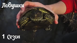 Ловушка из палок для рыб и черепах