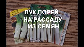 Как посадить лук порей на рассаду