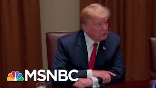 President Donald Trump: 'I'd Love To See A Shutdown' Over Immigration | MSNBC