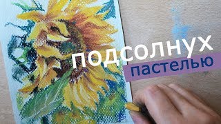 как нарисовать ПОДСОЛНУХ [как нарисовать цветы пастель]?