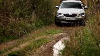 Skoda Octavia Scout на бездорожье (off-road)