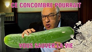 Le légendaire kappa japonais, par Didier Decoin