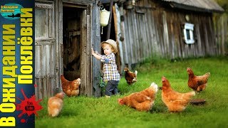 Жизнь в деревне .Домашний скот : Куры ,Козы,Кролики.Часть 1