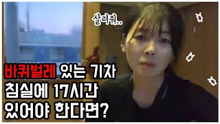 ??다낭에서 하노이가는 열차를 탔는데...바퀴벌레열차였다