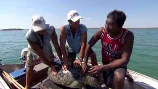 Spearfishing and sea turtles ► All 4 Adventure TV