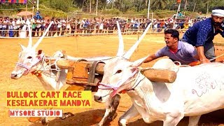 Bullock Cart Race Keselakerae Mandya Traditional Sports Karnataka