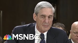 Is Special Counsel Robert Mueller Saving Ivanka Trump And The Trump Family For Last? | MSNBC