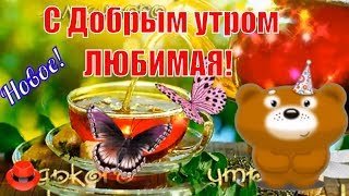 С добрым утром моя дорогая ❤️Красивые пожелания c добрым утром❤️Любимая доброго утра?удачного дня❤️