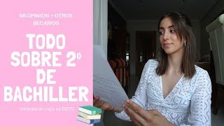 2º de bachiller después de un año en EEUU| Mi opinión + otros becarios