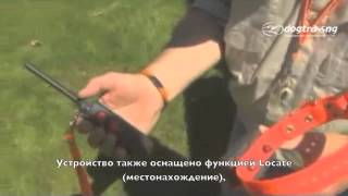 Охотничий электроошейник 2500T&B для собак