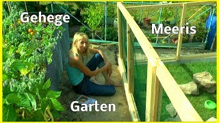 Im Garten das Gehege ist fertig für die Meerschweinchen und wie es weiter geht im Garten