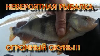 НЕВЕРОЯТНАЯ зимняя рыбалка.ловля ОГРОМНОГО окуня на мормышку.///UNBELIEVABLE winter fishing.