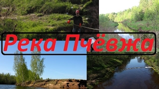Река Пчёвжа Новгородская область