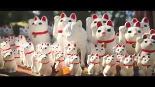 SquattingDog ~いきむ犬~ イメージPV  Made in Japan SOFVI