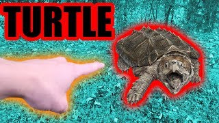Snapping Turtle Catch n' Cook! Part 1