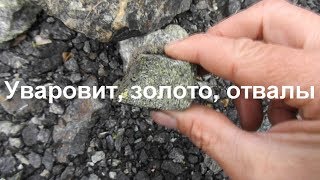 ООО "Золото Пестеря"