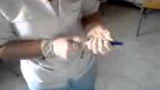 Practicas de enfermeria 1