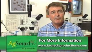 Artificial Insemination and Embryo Transfer