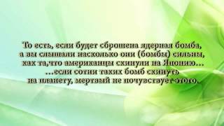 Шейх Альбани - Возвращаются ли души умерших в наш мир.