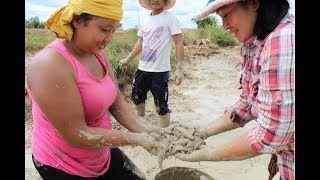 Amazing Fishing at Battambang   Beautiful Girl Fishing   How To Catch Fish By Hand Part34