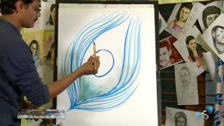 Peacock Feather : Drawing