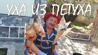 СЁМГА. ФАЗАН. УХА ПО-ЦАРСКИ